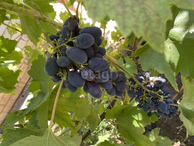 Продажа дачи, 24м <sup>2</sup>, 4 сот., Саратов, Саратовская область,  Энгельс