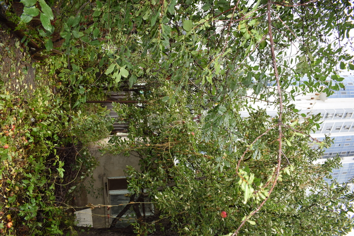 Продажа участка, Саратов, Саратовская область,  