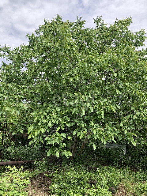 Продажа участка, Саратов, Саратовская область,  Саратов