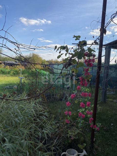 Продажа дома, 38м <sup>2</sup>, 7 сот., Саратов, Саратовская область,  