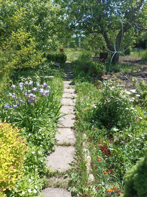 Продажа дачи, 22м <sup>2</sup>, 6 сот., Саратов, Саратовская область,  Заводской