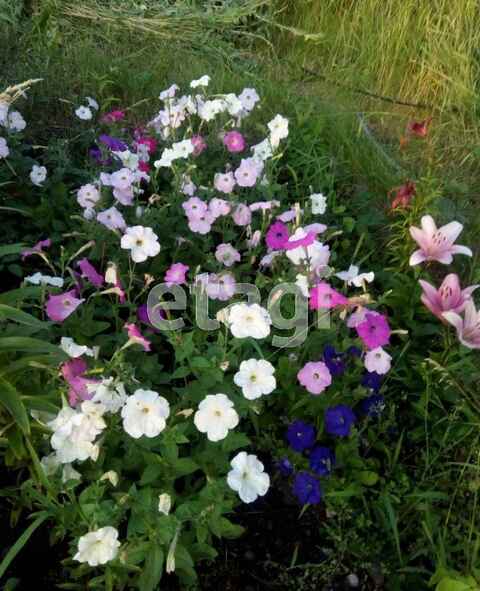 Продажа дачи, 54м <sup>2</sup>, 11 сот., Саратов, Саратовская область,  Саратов