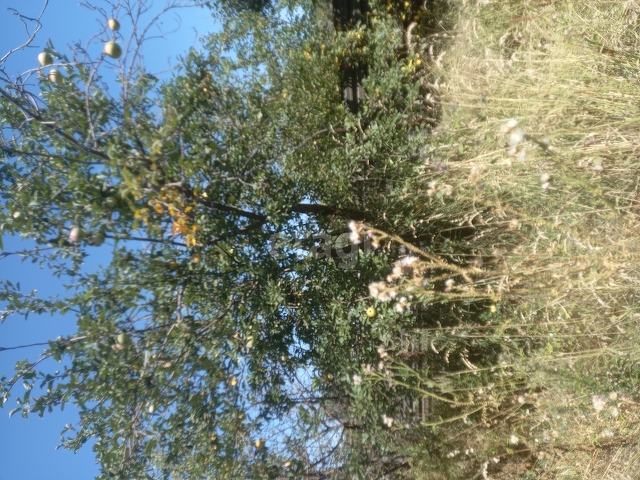 Продажа участка, Саратов, Саратовская область,  Саратов