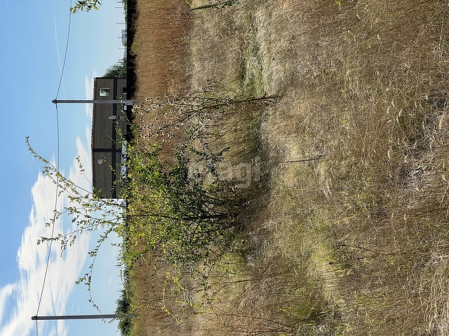 Продажа участка, Саратов, Саратовская область,  