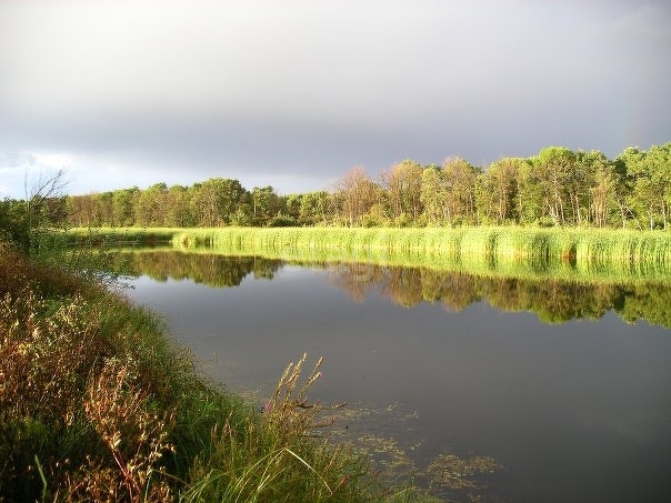 Продажа участка, Саратов, Саратовская область,  Саратов