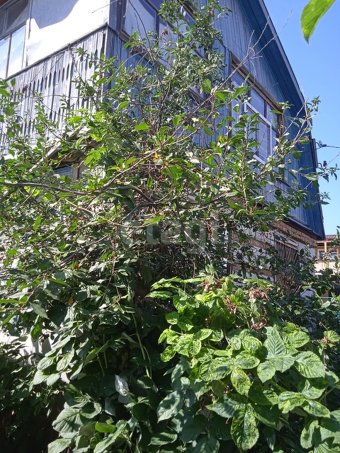 Продажа дачи, 50м <sup>2</sup>, 4 сот., Саратов, Саратовская область,  Энгельс