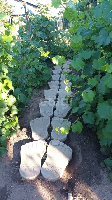 Продажа дачи, 43м <sup>2</sup>, 4 сот., Саратов, Саратовская область,  