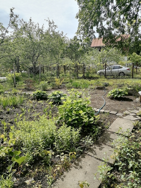 Продажа дачи, 136м <sup>2</sup>, 5 сот., Саратов, Саратовская область,  Саратов