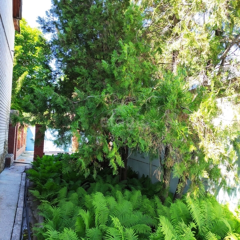 Продажа дома, 341м <sup>2</sup>, 9 сот., Саратов, Саратовская область,  Кировский