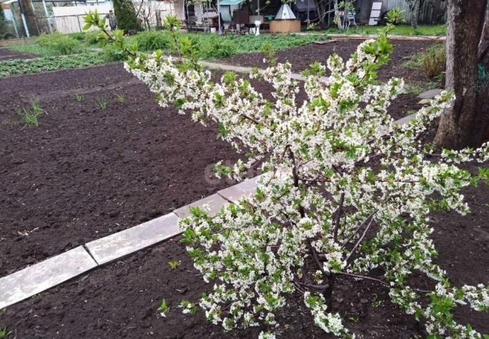 Продажа дачи, 60м <sup>2</sup>, 4 сот., Саратов, Саратовская область,  Энгельс