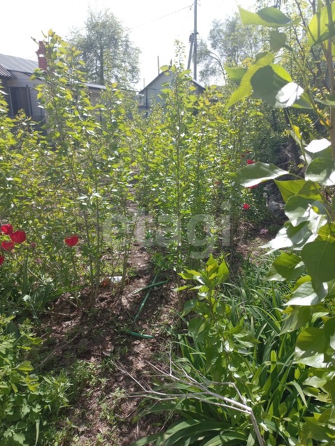 Продажа дома, 58м <sup>2</sup>, 6 сот., Саратов, Саратовская область,  Заводской