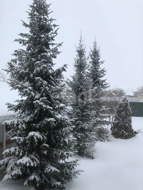 Продажа дома, 294м <sup>2</sup>, 13 сот., Саратов, Саратовская область,  Энгельс