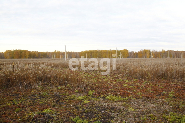 Продажа участка, Заводоуковск, Новая Заимка с, Приречная