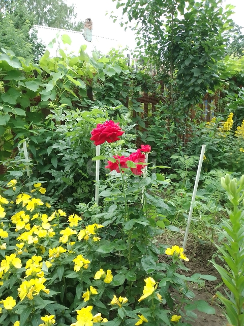 Продажа дома, 41м <sup>2</sup>, 2 сот., Саратов, Саратовская область,  Волжский 