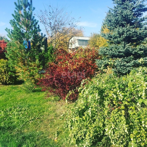 Продажа дачи, 20м <sup>2</sup>, 18 сот., Саратов, Саратовская область,  Саратов