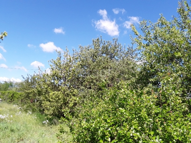 Продажа участка, Саратов, Саратовская область,  Саратов