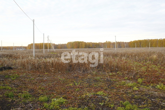 Продажа участка, Заводоуковск, Новая Заимка с, Приречная