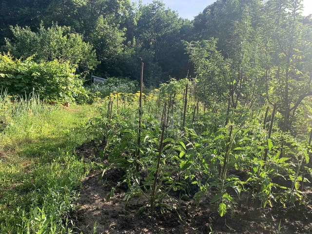 Продажа дачи, 29м <sup>2</sup>, 3 сот., Саратов, Саратовская область,  