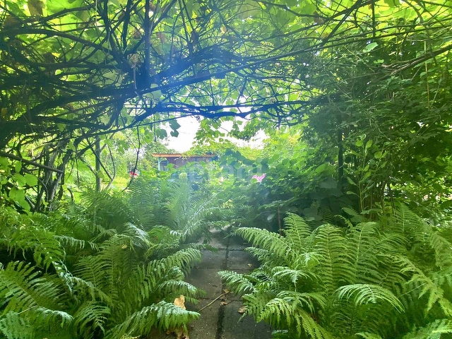 Продажа дачи, 42м <sup>2</sup>, 6 сот., Саратов, Саратовская область,  Саратов