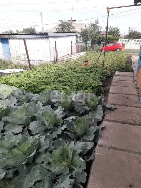 Продажа дома, 64м <sup>2</sup>, 6 сот., Саратов, Саратовская область,  