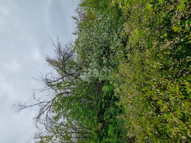 Продажа участка, Саратов, Саратовская область,  Энгельс