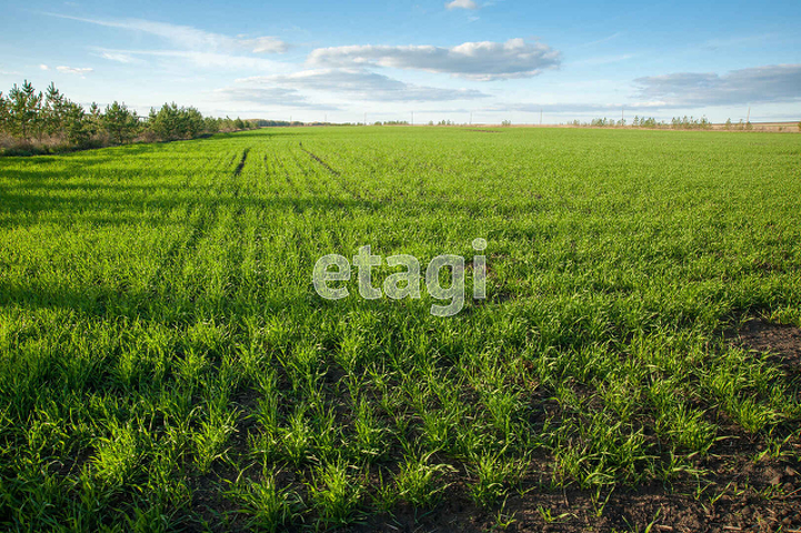 Продажа коммерческой недвижимости, 500м <sup>2</sup>, Саратов, Саратовская область,  Красный Кут