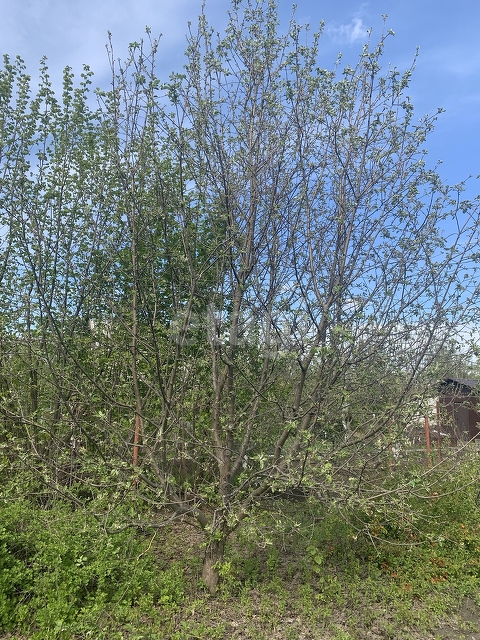 Продажа участка, Саратов, Саратовская область,  Саратов