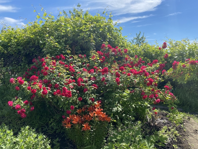 Продажа дачи, 60м <sup>2</sup>, 6 сот., Саратов, Саратовская область,  