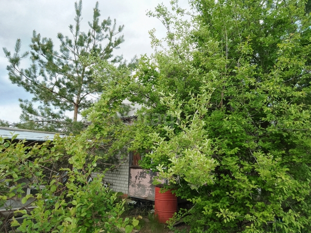 Продажа дачи, 50м <sup>2</sup>, 684 сот., Саратов, Саратовская область,  Саратов