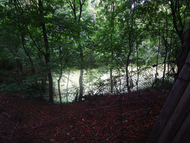 Продажа участка, Саратов, Саратовская область,  