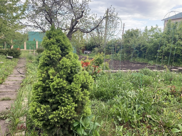 Продажа дачи, 22м <sup>2</sup>, 6 сот., Саратов, Саратовская область,  Заводской