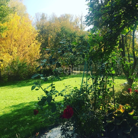 Продажа дачи, 20м <sup>2</sup>, 18 сот., Саратов, Саратовская область,  Саратов