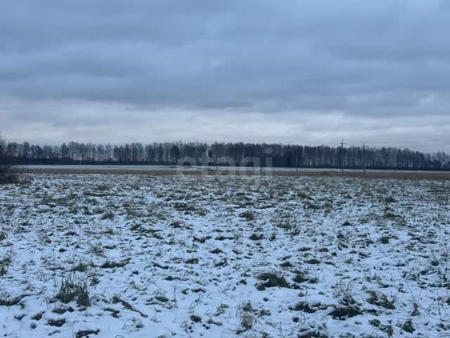 Деревня на волге название