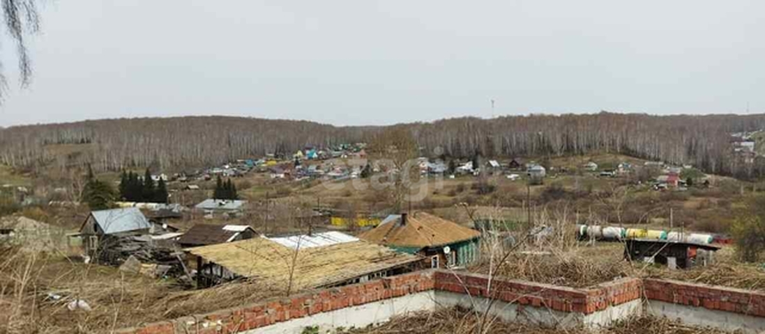 Погода гусиный брод на 10 дней. Гусиный брод Новосибирская. Село гусиный брод. Дом гусиный брод.