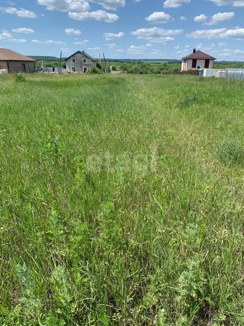 Купить Землю В Заре Пенза