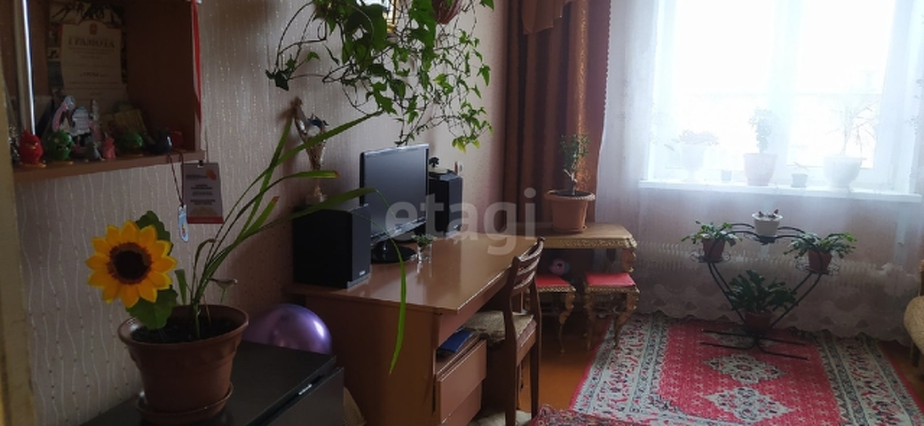 куса квартиры