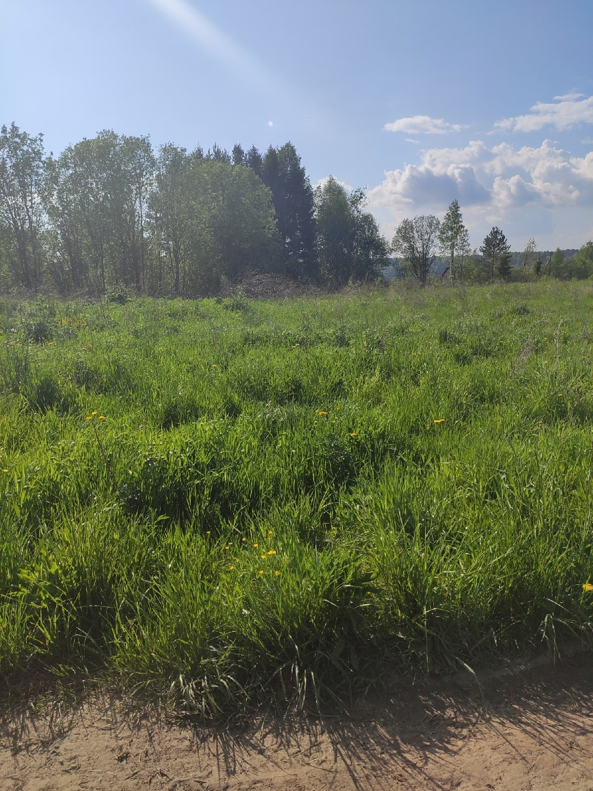 Купить загородную недвижимость в деревня Евлашево: цены, недорого