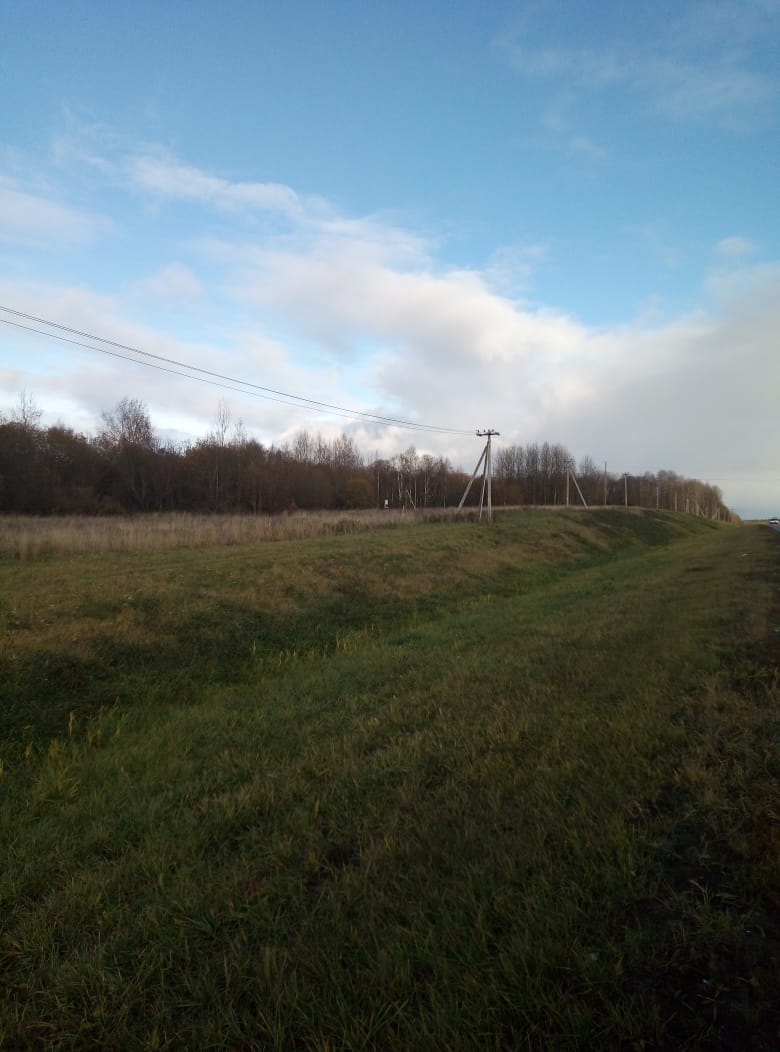 Купить загородную недвижимость в деревня Токарево (Спасское сельское  поселение): цены, недорого