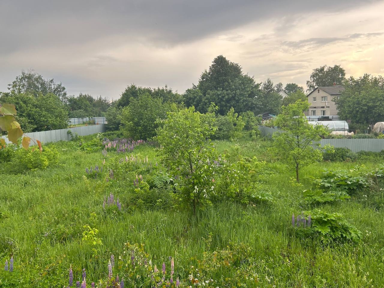 Купить земельный участок село Анискино, 🏡 продажа участков земли недорого