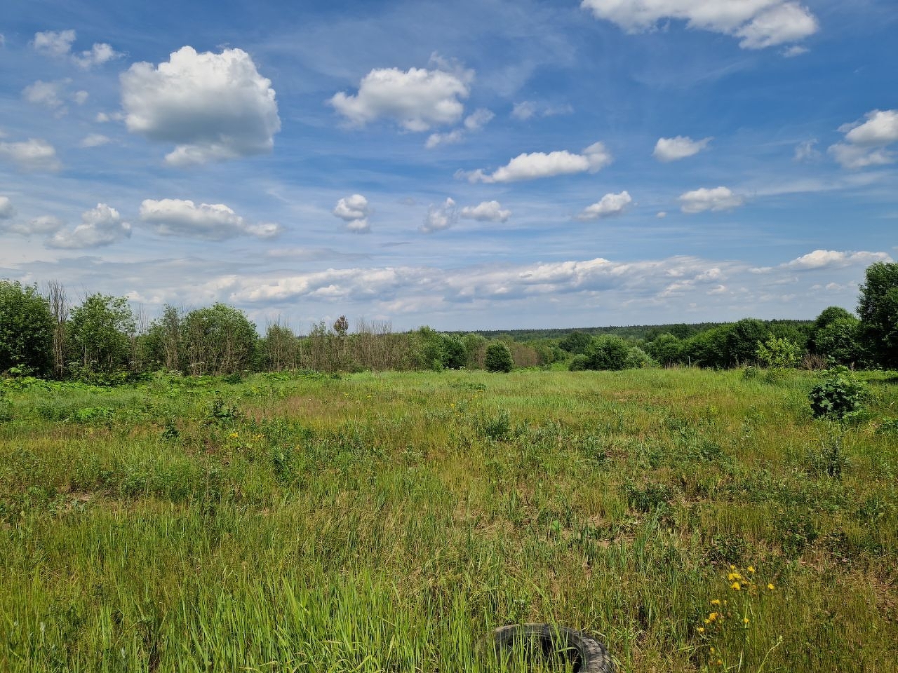 Купить загородную недвижимость в село Озерецкое: цены, недорого