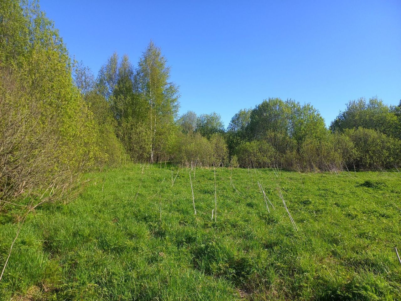 Купить Землю Ижс Подольск
