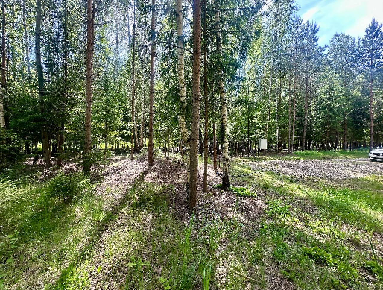 Купить земельный участок коттеджный посёлок Шелково Форест, 🏡 продажа  участков земли недорого