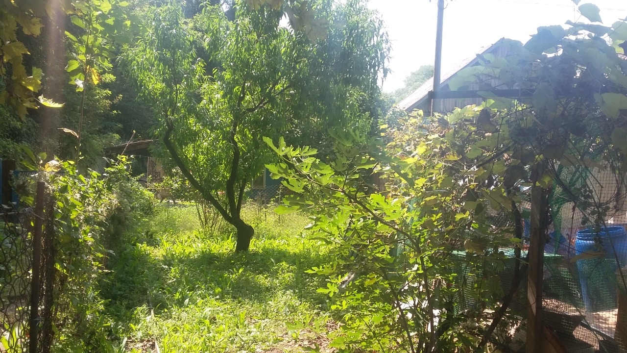 Металлические дома в Пшада купить Металлические дома в Пшада купить