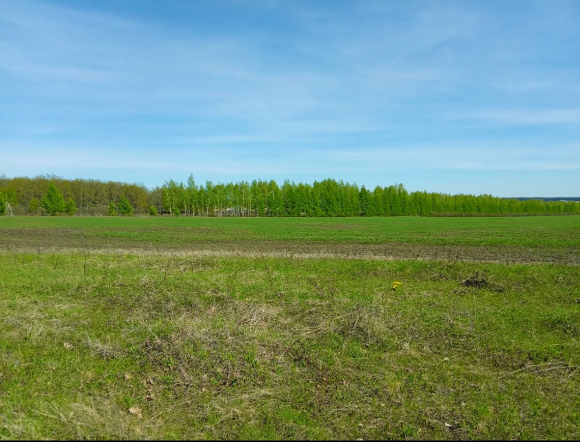 Покупка земельного участка, Вологда, 10 сот., 847778, Вологда - покупка