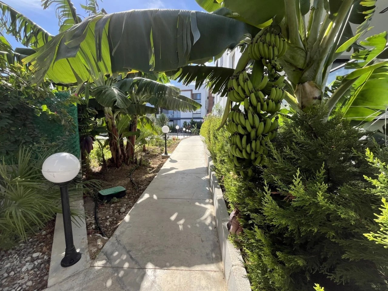 Фото Eden Garden Terrace, 21