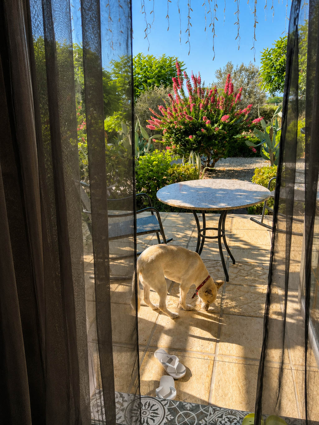 Фото Crystal Bay View Apartment, 16