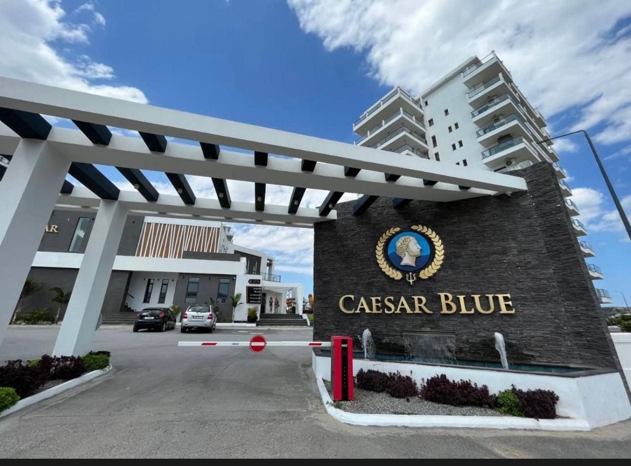Фото Caesar Blue, 3