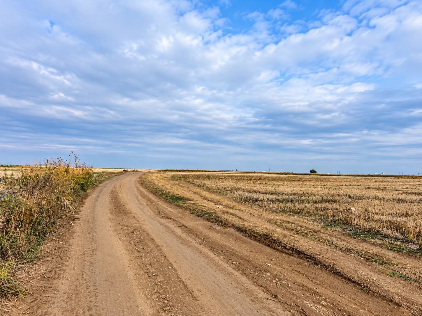 Land · 68000 m² · Ledine