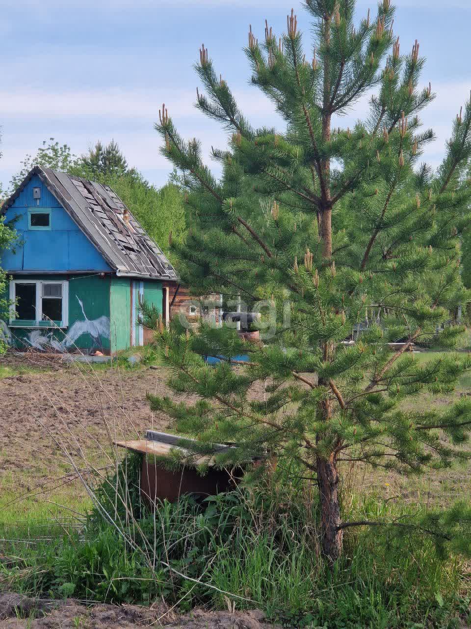 Покупка дачи, Геофизик-2 садовое общество, 10 сот., 12 м2, 1720156, Тюмень  - покупка