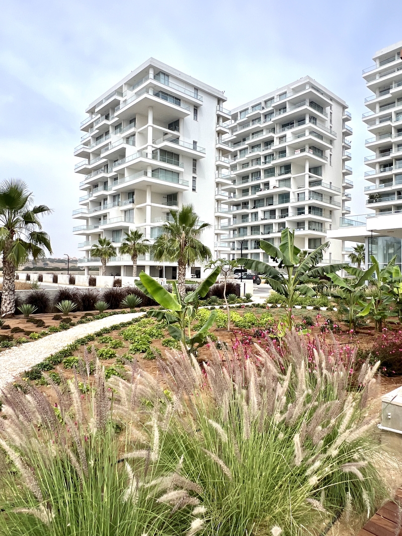 Фото Abelia, 39